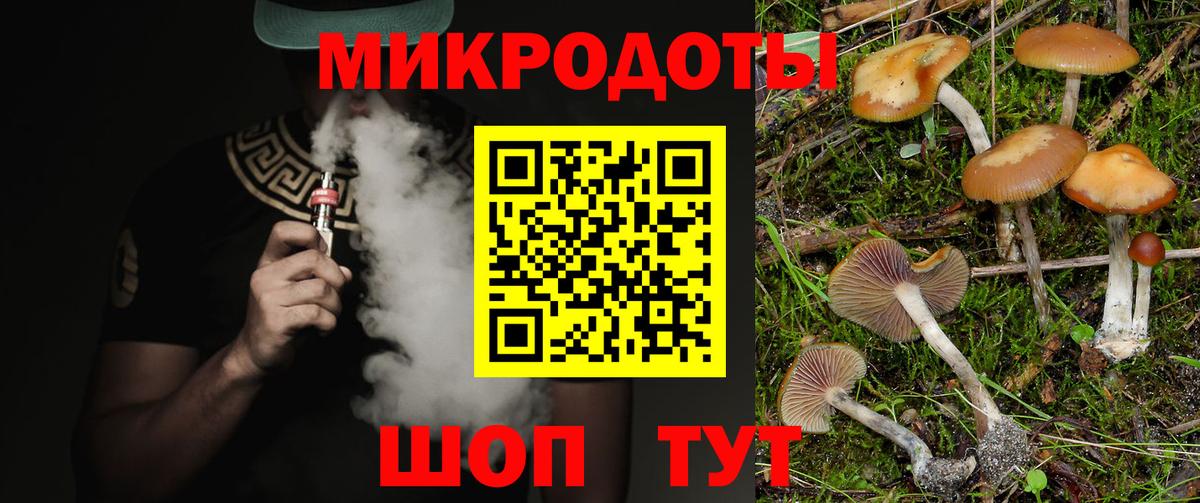 Медногорск  купить наркотик  Вход с VPN  Псилоцибиновые грибы прущие грибы  Псилоцибиновые грибы прущие грибы 
